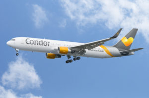 InsideNews Condor auf Sparkus