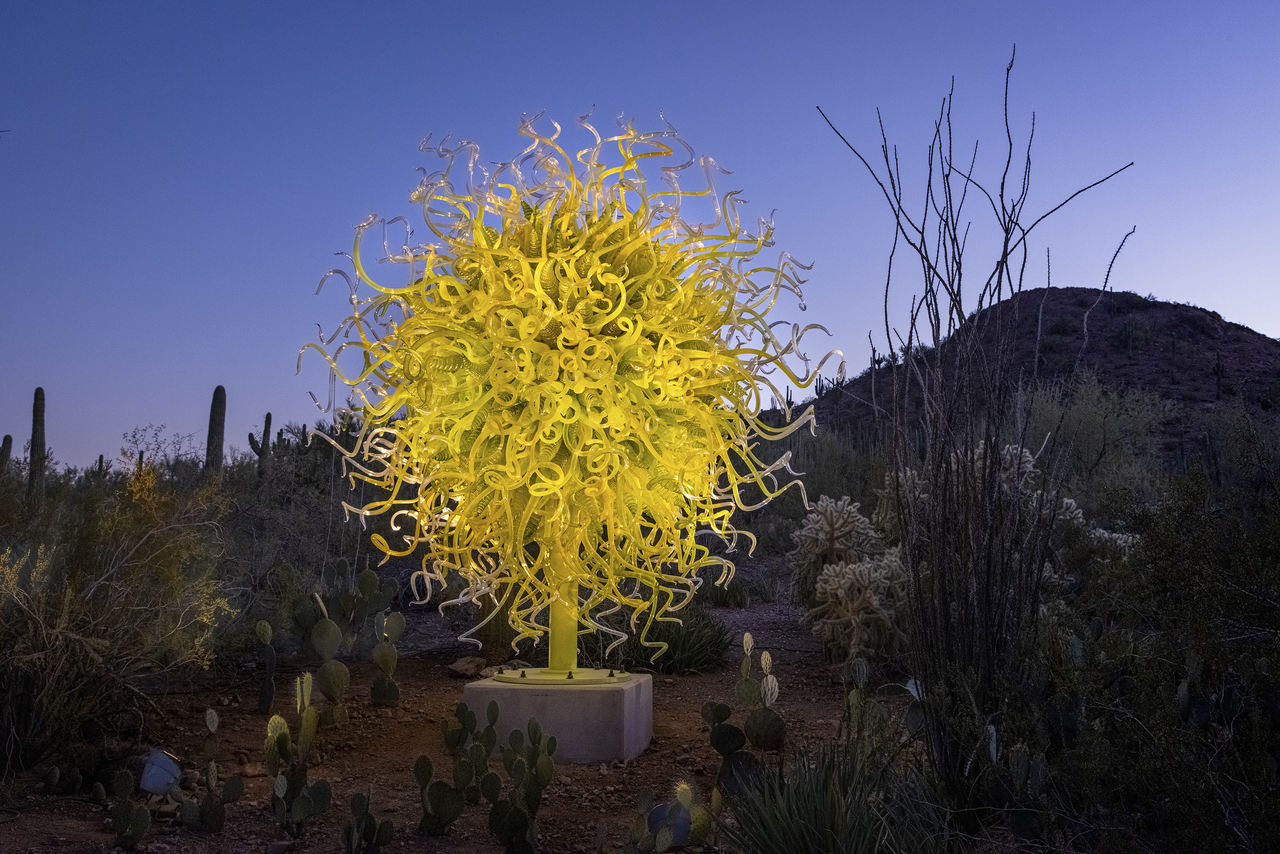 Chihuly in the desert