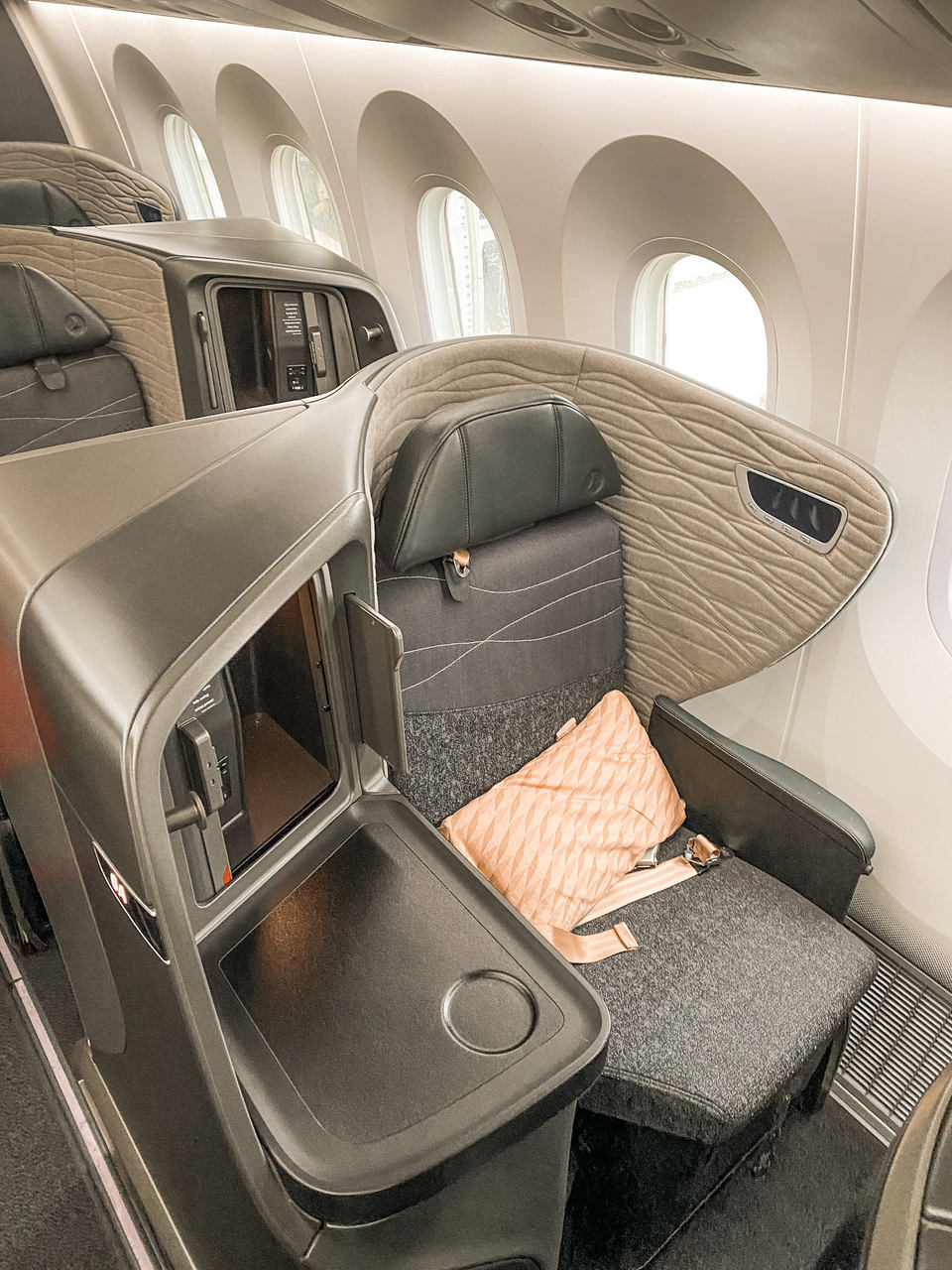 Turkish Airlines Business Class Boeing 787