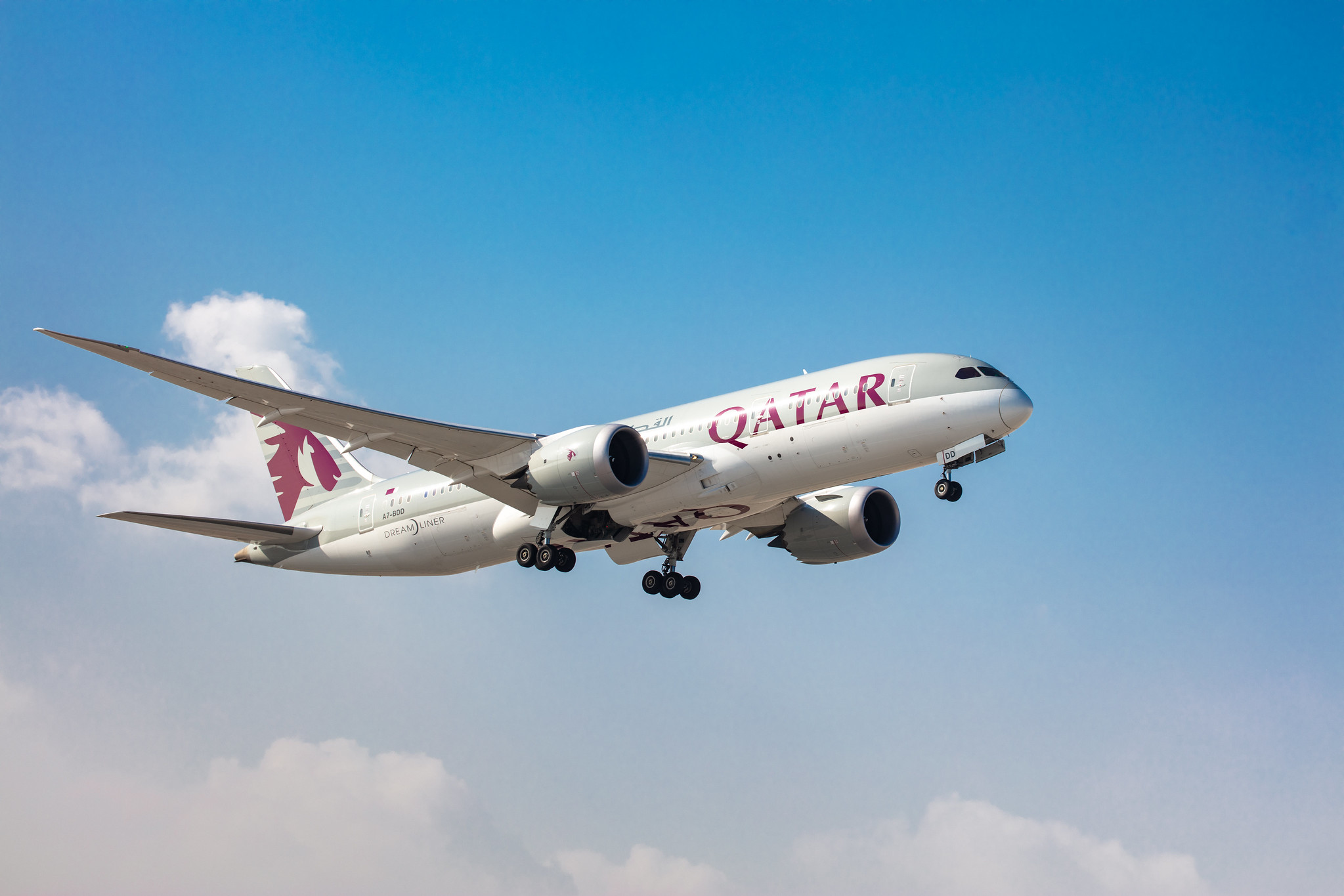Qatar Airways nimmt 2024 Flüge nach Hamburg auf - InsideFlyer DE
