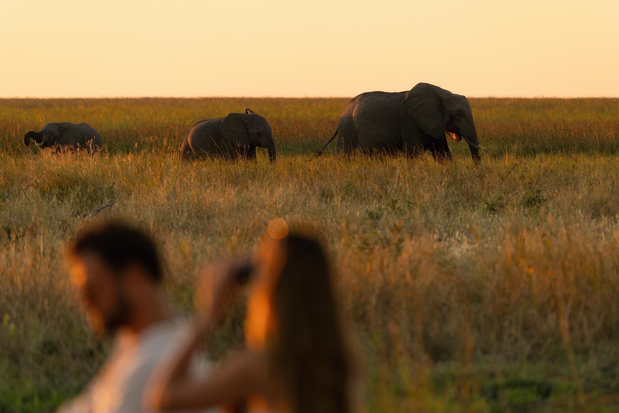 Wilderness Mokete Botswana