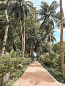 Royal Island Resort & Spa Malediven