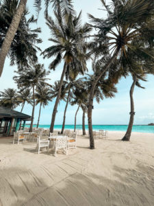 Villa Park Maldives