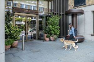 Hilton Reisetrends 2026