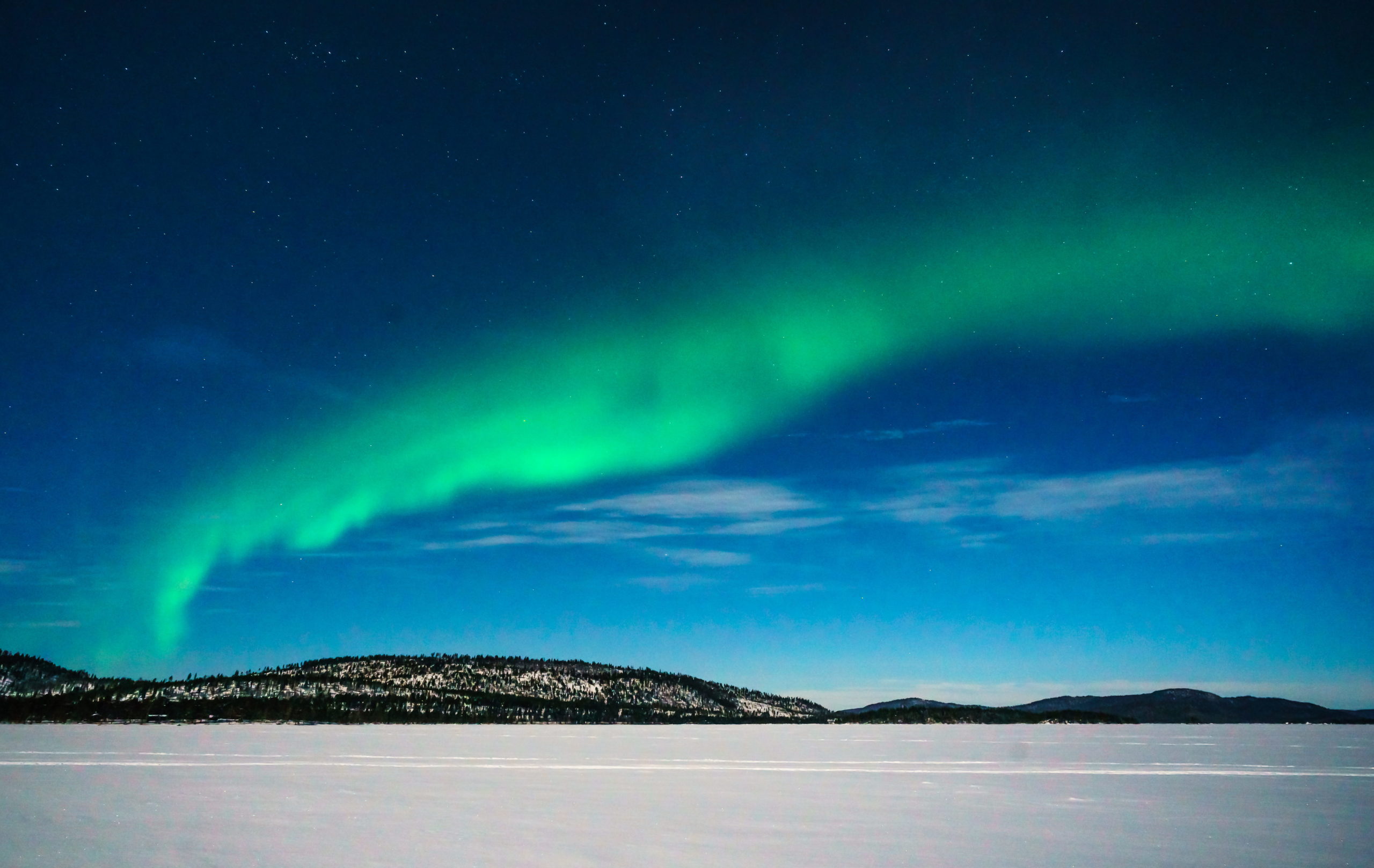 Discover Airlines Skandinavien