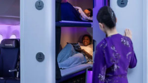 Air New Zealand Skynest
