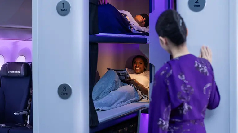 Air New Zealand Skynest