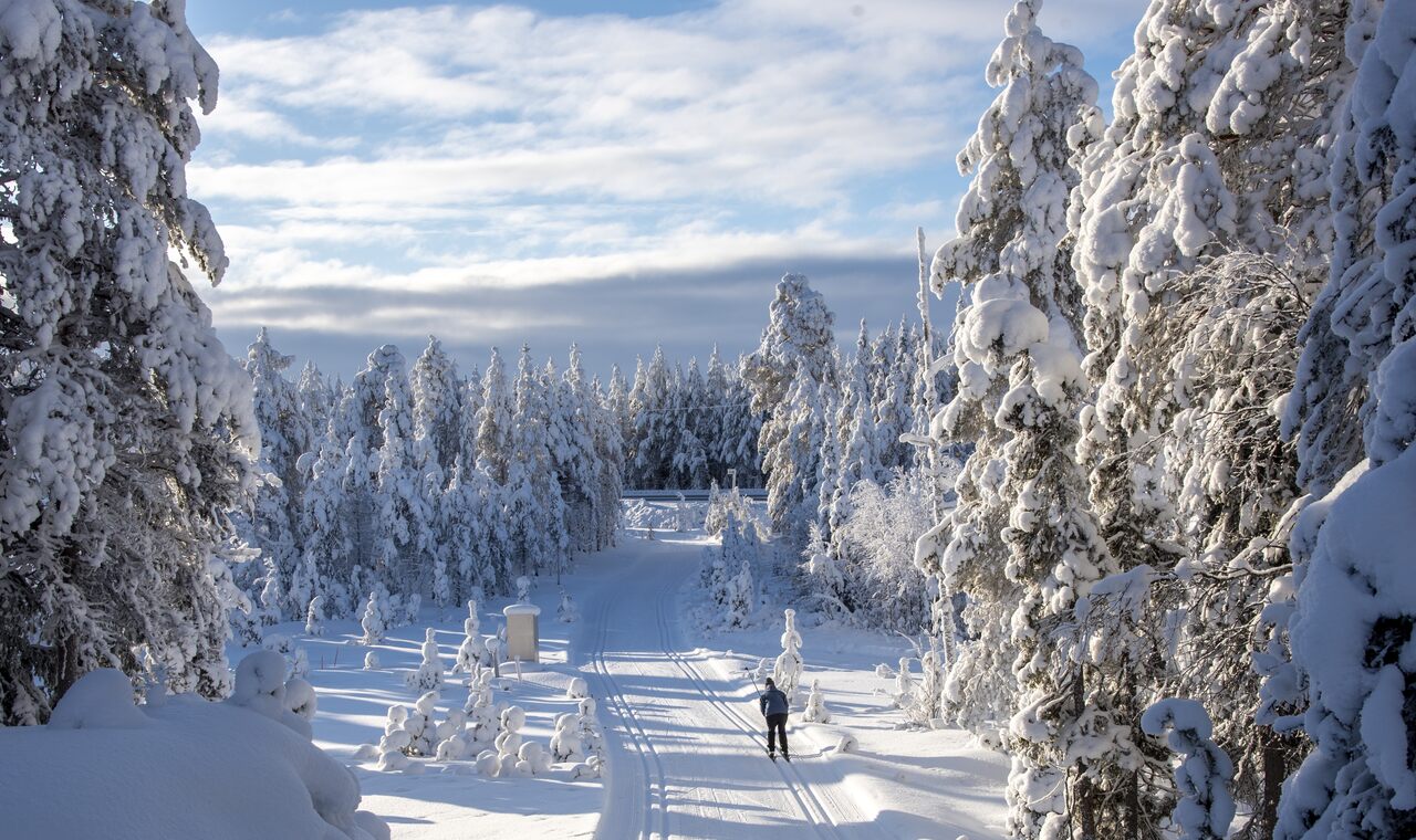 Flüge nach Lappland